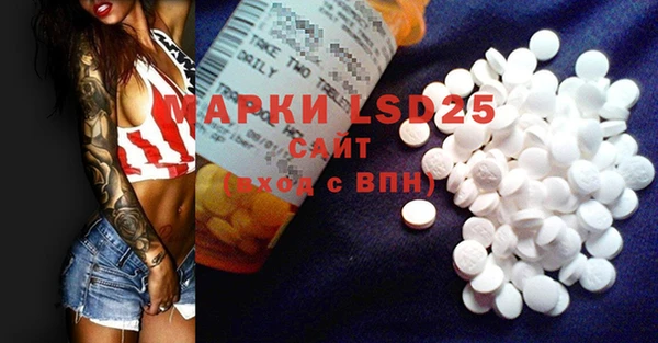 ПСИЛОЦИБИНОВЫЕ ГРИБЫ Аркадак